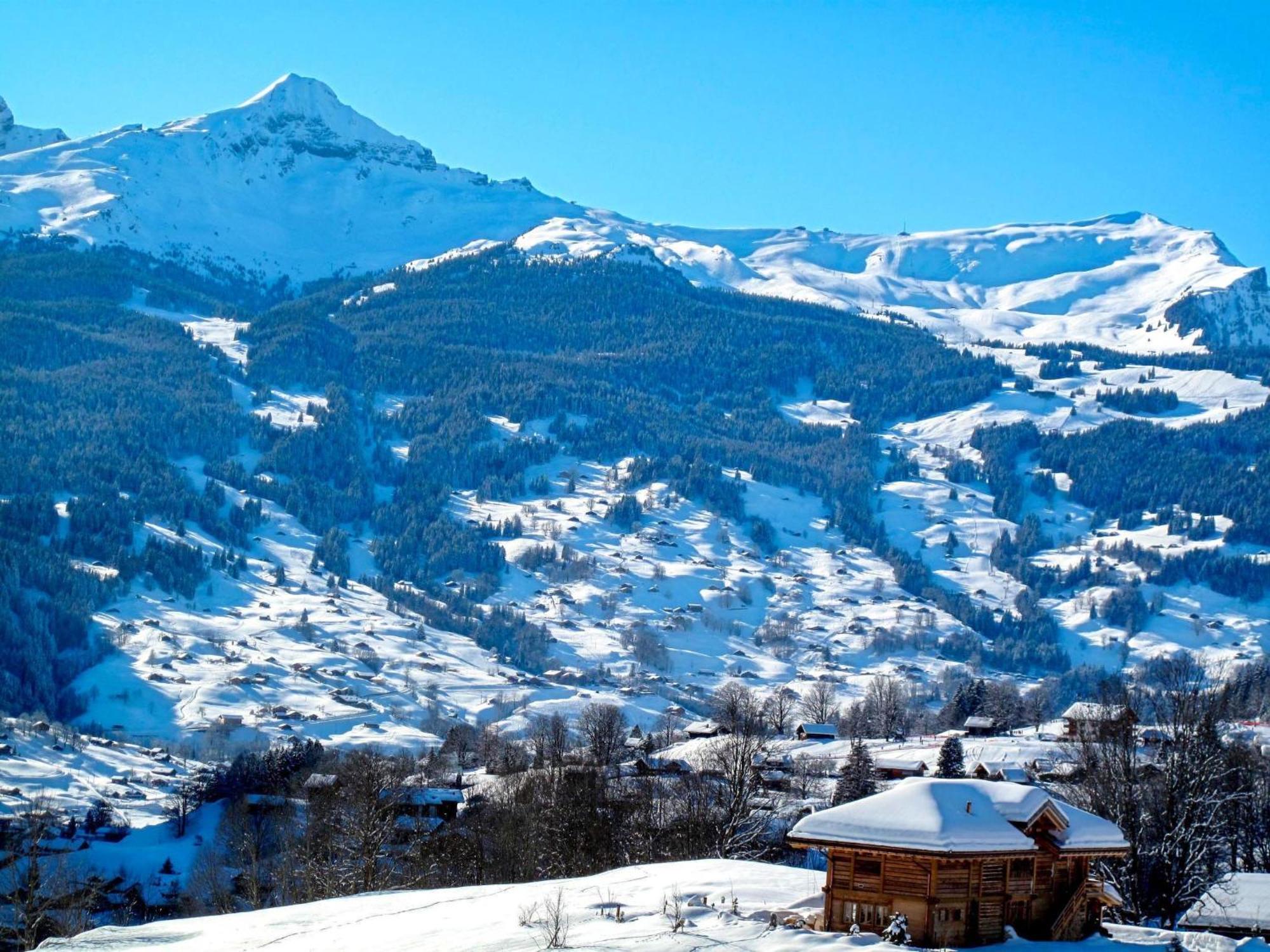 Apartment Chalet Almis-Boedeli-2 By Interhome Grindelwald Esterno foto